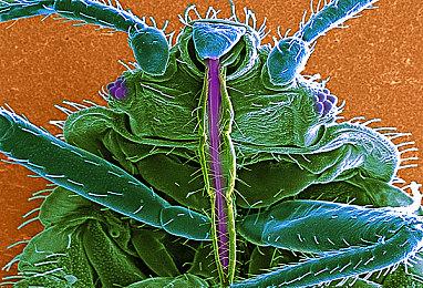 科幻解谜《火星孤征》9月27日发售 支持中文配音